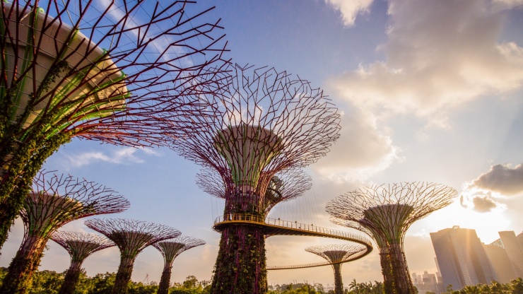 Gardens by the Bay การ์เด้นส์ บาย เดอะ เบย์